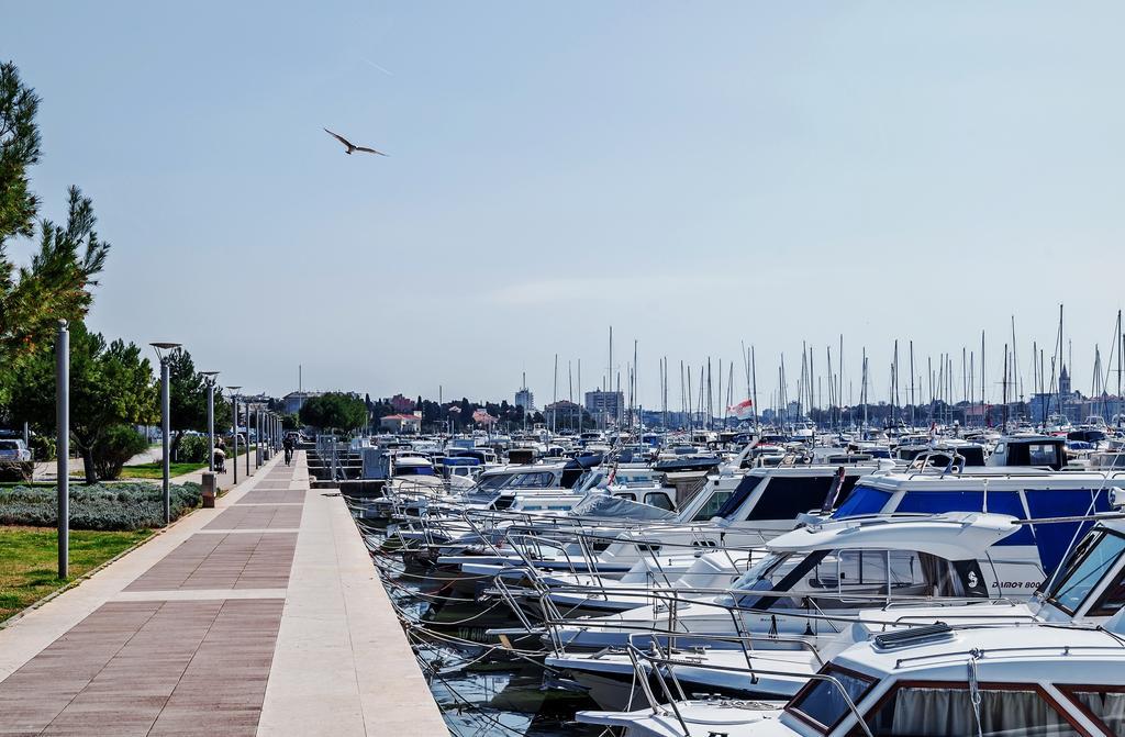 Sea Star * Zadar